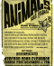 Animals & Steve Cropper