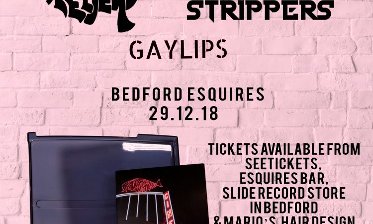 Sarpa Salpa Bedford Esquires Saturday 29th December