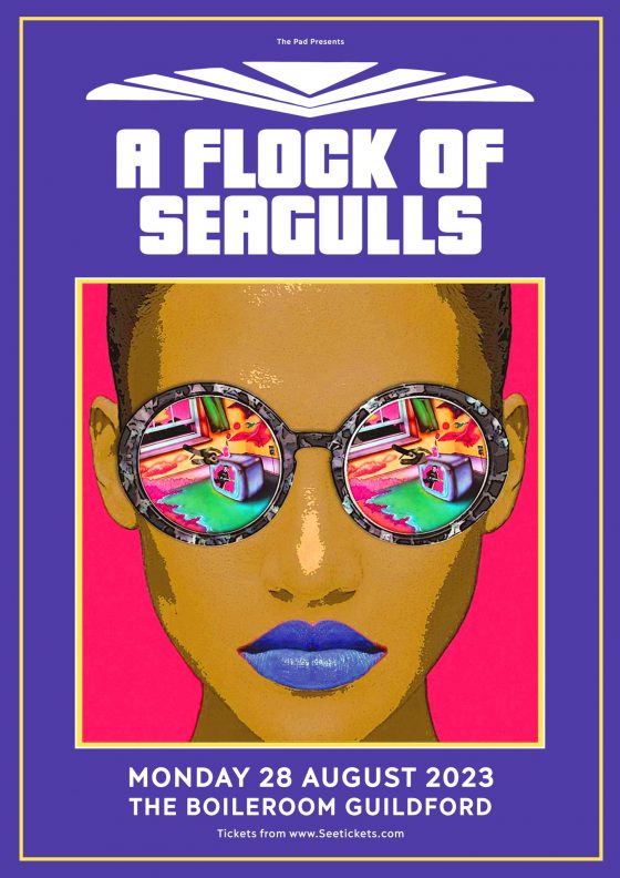 A flock Of Seagulls - The Boileroom Guildford 28th August
