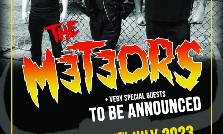The Meteors Bedford Esquires Sat 15th July