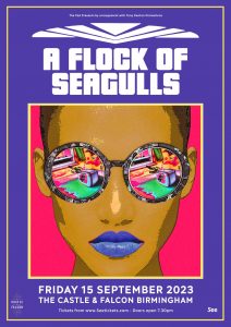 A flock of Seagulls - Birmingham Castle and Falcon