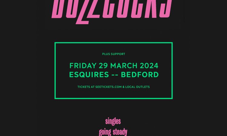 Buzzcocks - Friday 29th March, Bedford Esquires