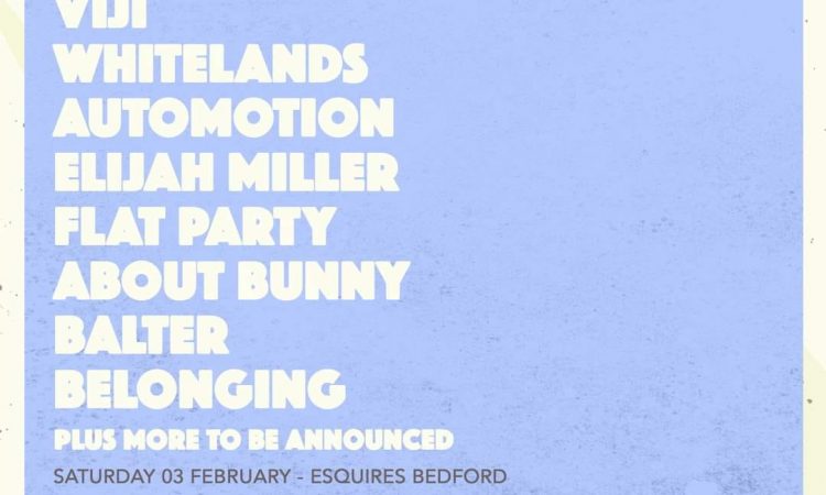 English Teacher - Bedford Esquires