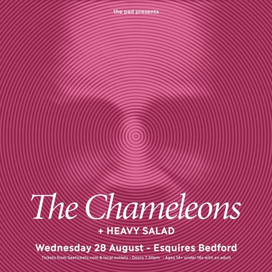The Chameleons - Weds 29th August Bedford Esquires