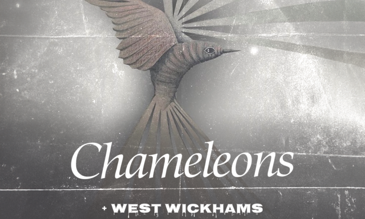 Chameleons - Weds 12th November, Concorde 2, Brighton