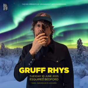 Gruff Rhys American Interior Bedford Esquires