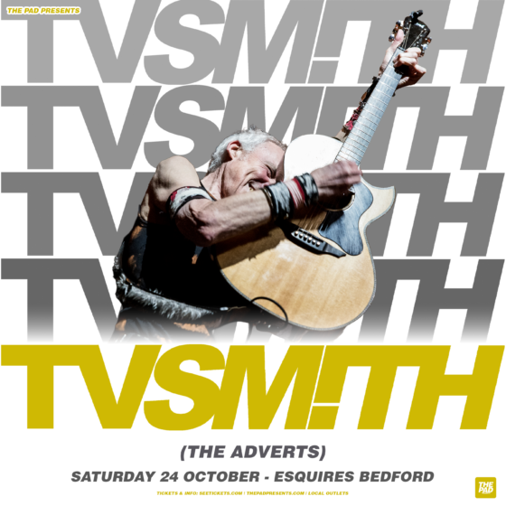 TV Smith - Bedford Esquires