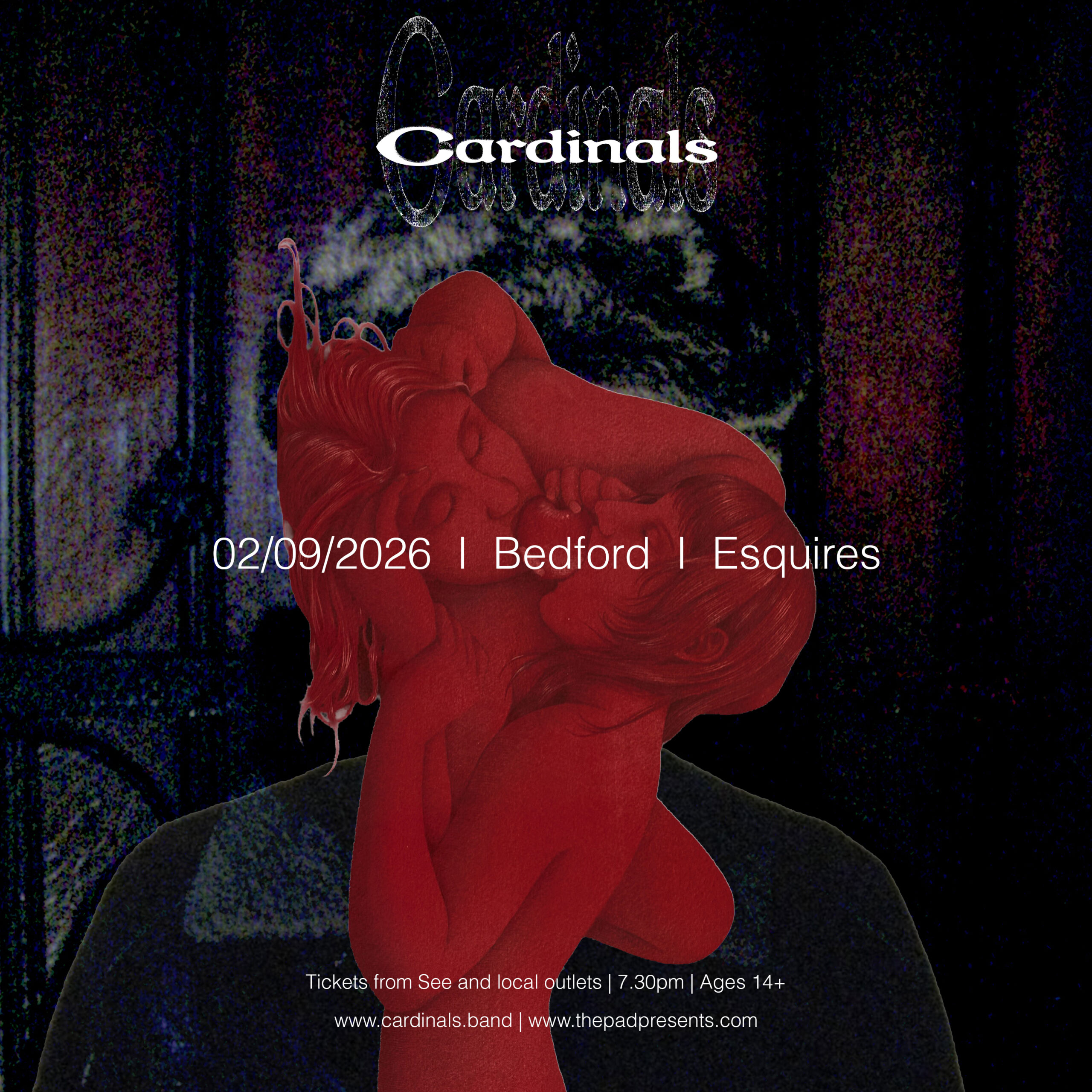 Cardinals + guests